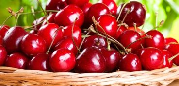 南方北方差异咋整