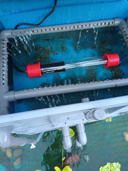 杀菌灯，放哪里才Zui好？