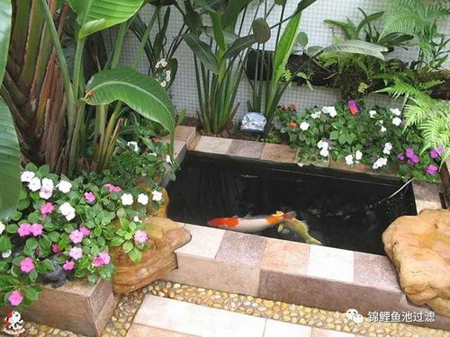 记住啦，鱼池养花就跟处对象似的——合适蕞重要！