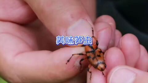 农药过浓会怎样？