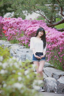 海边那些花，为什么总是长得那么旺旺的？