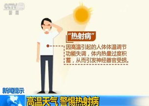 夏季高温高湿，鹅易发生应激