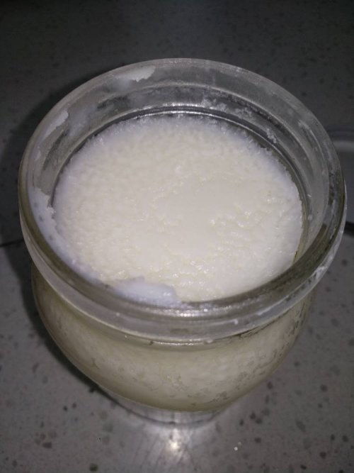 白色絮状物是什么？