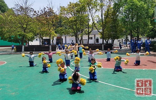 个人观点：校园绿化不是面子工程， 而是培养生态意识的实践课堂