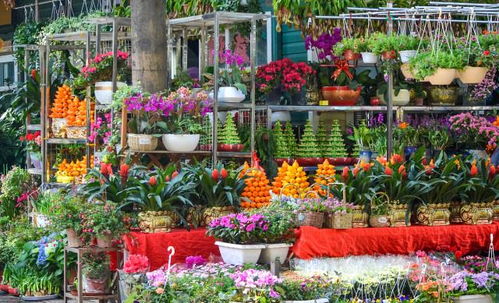 市场关门时间， 老板说5点半