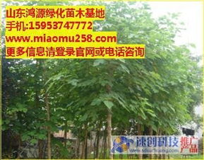 基本信息大揭秘