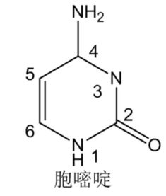 结构优化：提升药物稳定性与药效
