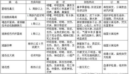 如何鉴别诊断猪只常见腹泻类疾病的具体步骤？