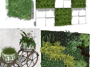 光影设计提升室内绿植景观造型美感