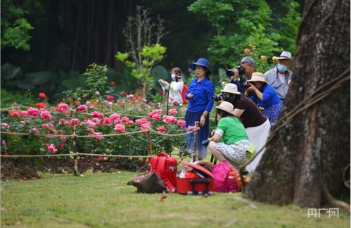 种植时间有讲究