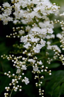 雨季采收，有妙招