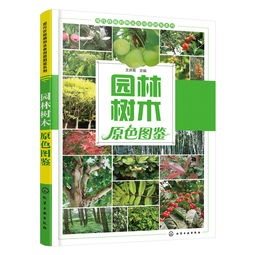 一、 树木与自然的和谐共生