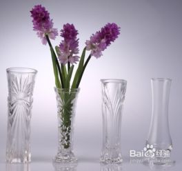 玻璃花瓶养花指南：这几种花与玻璃花瓶更配