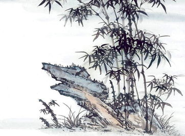 竹子坚韧不拔的品质和精神象征，究竟蕴含着怎样的卓越之道