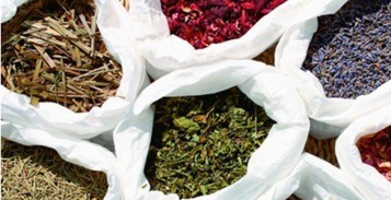 传统草药也能治