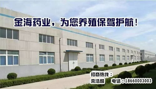 肇庆高要海大生物科技有限公司和肇庆金顺饲料有限公司，哪家饲料质量更可靠？