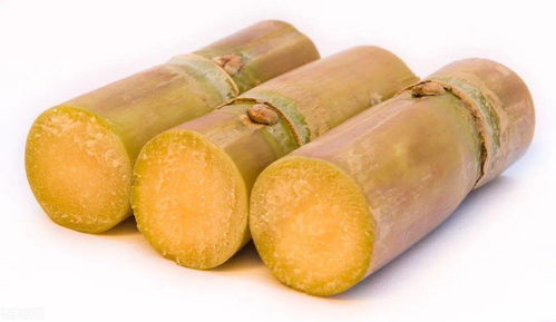 喷洒工具，喷雾器是关键