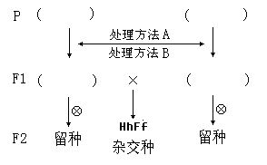 引种的基本原理是什么？如何根据不同植物特性选择合适的引种方法？