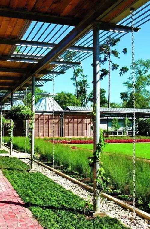 藤蔓爬满花架，我有秘籍！