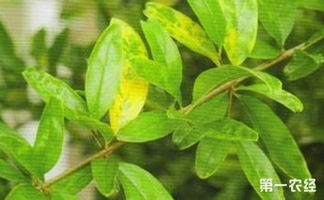 防范与治疗：小技巧大作用