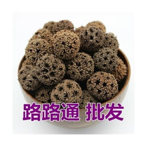 通草球，白色轻盈