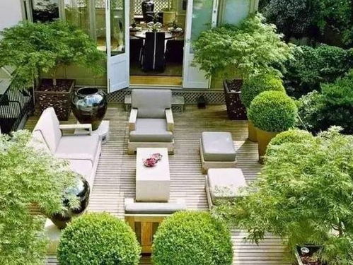 成者阝屋顶花园的绿意诗篇