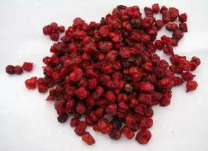 细菌生长的温度范围