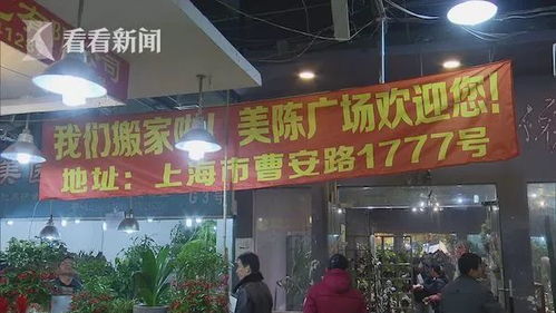 周末去广州花鸟市场？探寻花鸟市场的秘密