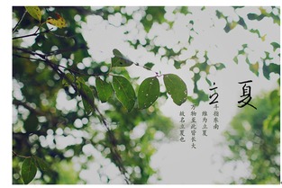 修剪技术：适时修剪，保持美观