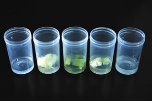 样品前处理， 提取与净化大揭秘