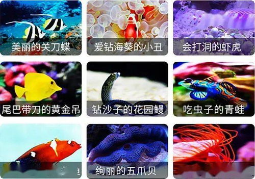 海水缸开缸需要准备哪些专业设备和材料？