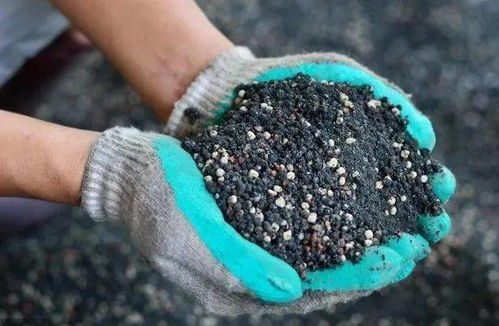 时间窗口期与温度玄机