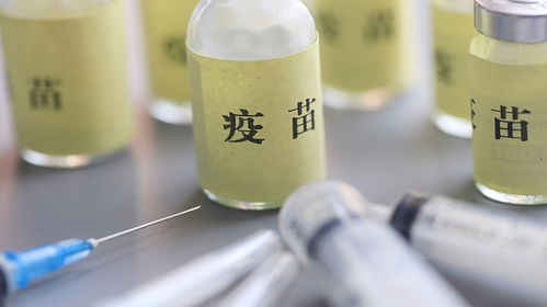 43%戊唑醇稀释倍数是多少？在使用过程中需要注意什么？