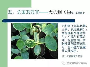 如何判断是否过期