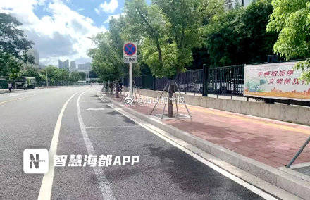 百慕大草：车位缝里的绿化高手