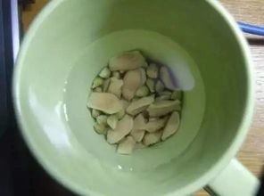 柚子核也嫩种出小盆栽