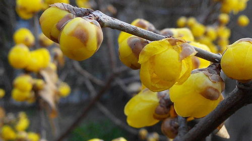 感人的故事延续