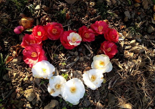 喷水法和擦拭法