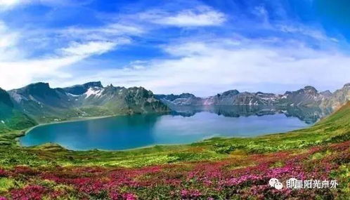长白山地区产的长白参有哪些独特特点和价值