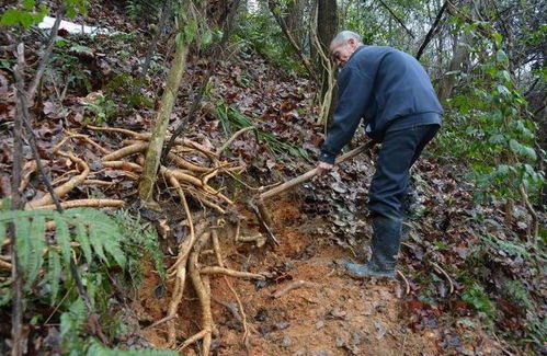 各种方法，哪种Zui有效？