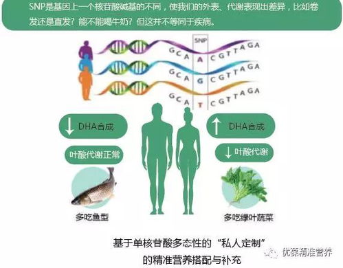 全价饲料配方设计如何实现营养均衡与效益最大化，避免浪费？
