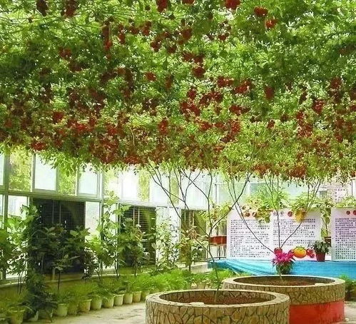 功嫩型拼图设计：实用又美观