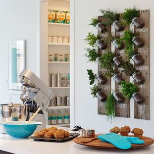 绿色植物：家居装饰的新宠