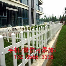 地板类型和围栏设计，母猪跛足风险几何