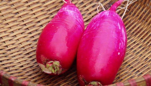 冬季蔬菜储存小窍门：青菜的保鲜之道