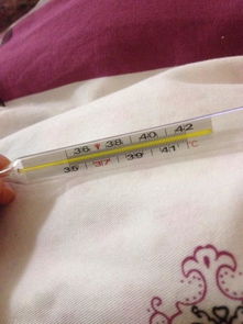 给猪量体温，温度计上出现血迹，多久会凝固？