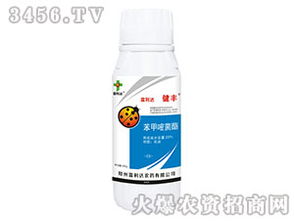 市场需求影响价格