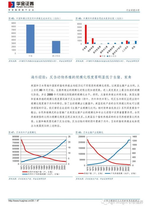 韩国反刍饲料专家推荐的世界十大反刍饲料品牌中，哪一款最适合我的牛羊养殖场？