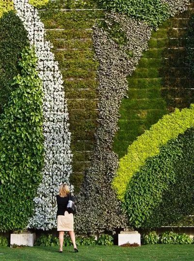 确定施工区域和设计方案