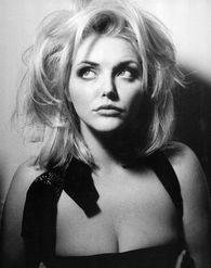 花儿的颜色， 就像天空的微笑